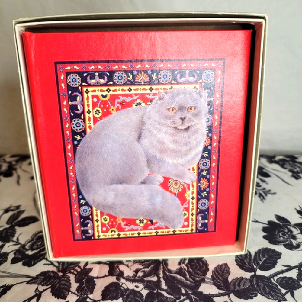 Really cute grey cat address